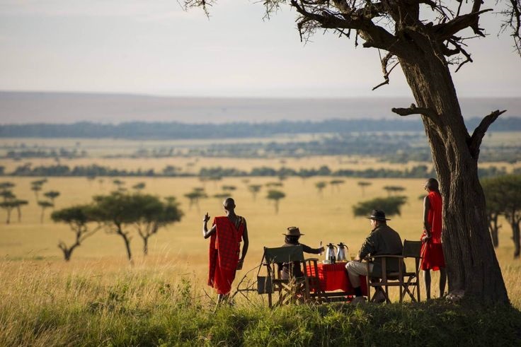 The Ultimate Guide to Planning an African Safari in East Africa